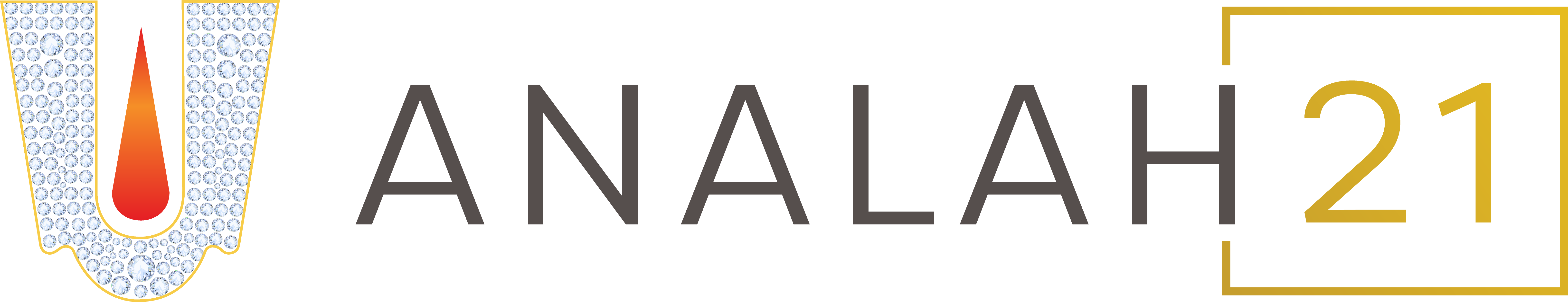 Analah21 Property Finder logo